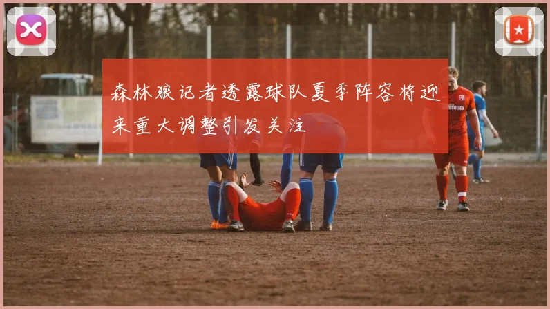 森林狼记者透露球队夏季阵容将迎来重大调整引发关注